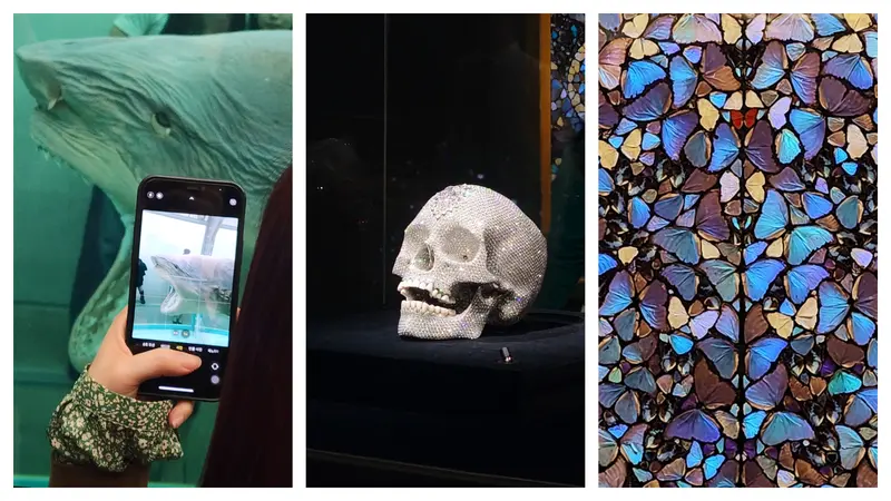 Damien Hirst<살아있는 자의 마음속에 있는 죽음의 물리적 불가능성> <신의 사랑을 위하여> <신의 무한한 권능과 영광을 묵상하며>, MMCA Seoul